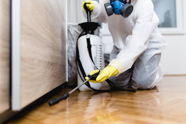 Best Pest Control Near Me  in St Ansgar, IA
