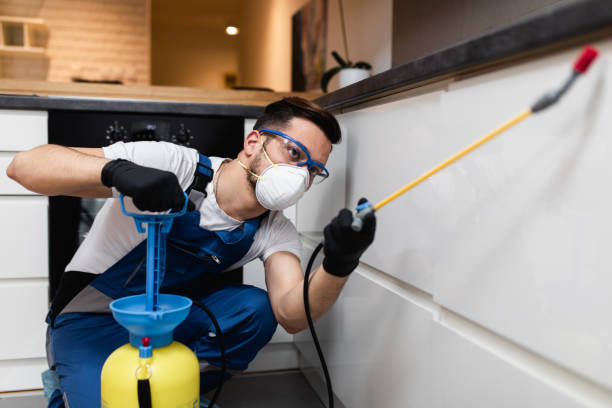Best Residential Pest Control  in St Ansgar, IA