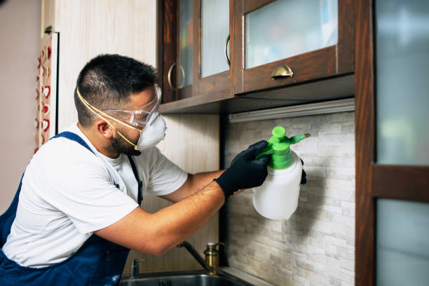 Best Bed Bug Extermination  in St Ansgar, IA
