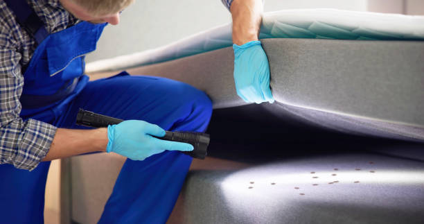 Best Best Pest Control Companies  in St Ansgar, IA
