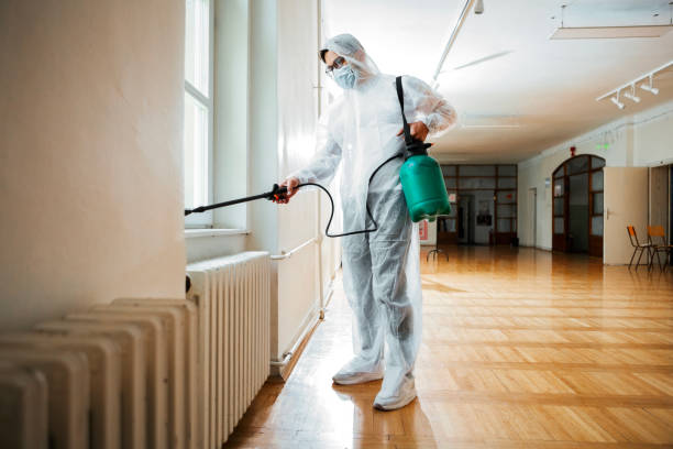Best Pest Control Near Me  in St Ansgar, IA