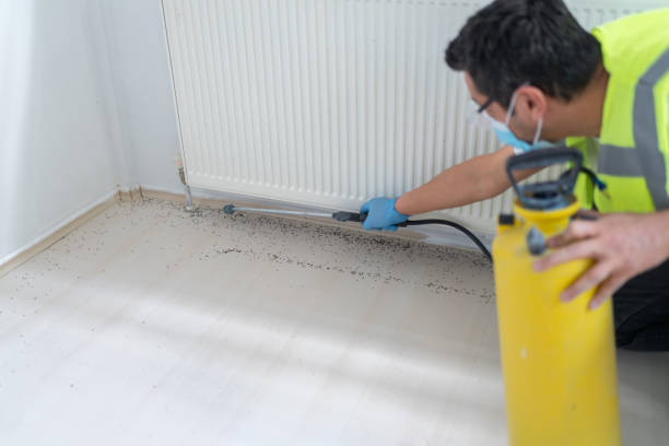 Best Mosquito Control Services  in St Ansgar, IA