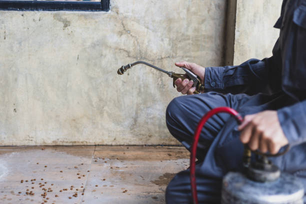 Best Pest Removal Services  in St Ansgar, IA