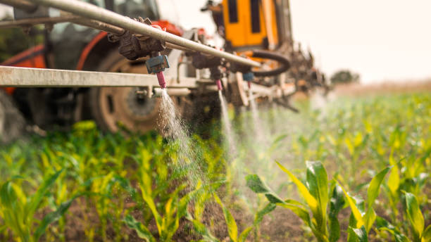 Best Best Pest Control Companies  in St Ansgar, IA